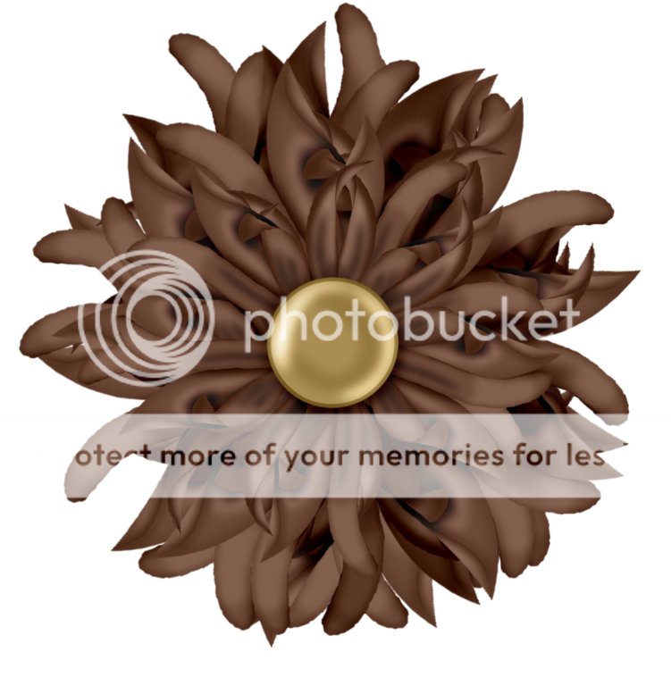 adwbrownflowerlghtbroCopy.png Photo by 2GirlsandaScrapbook